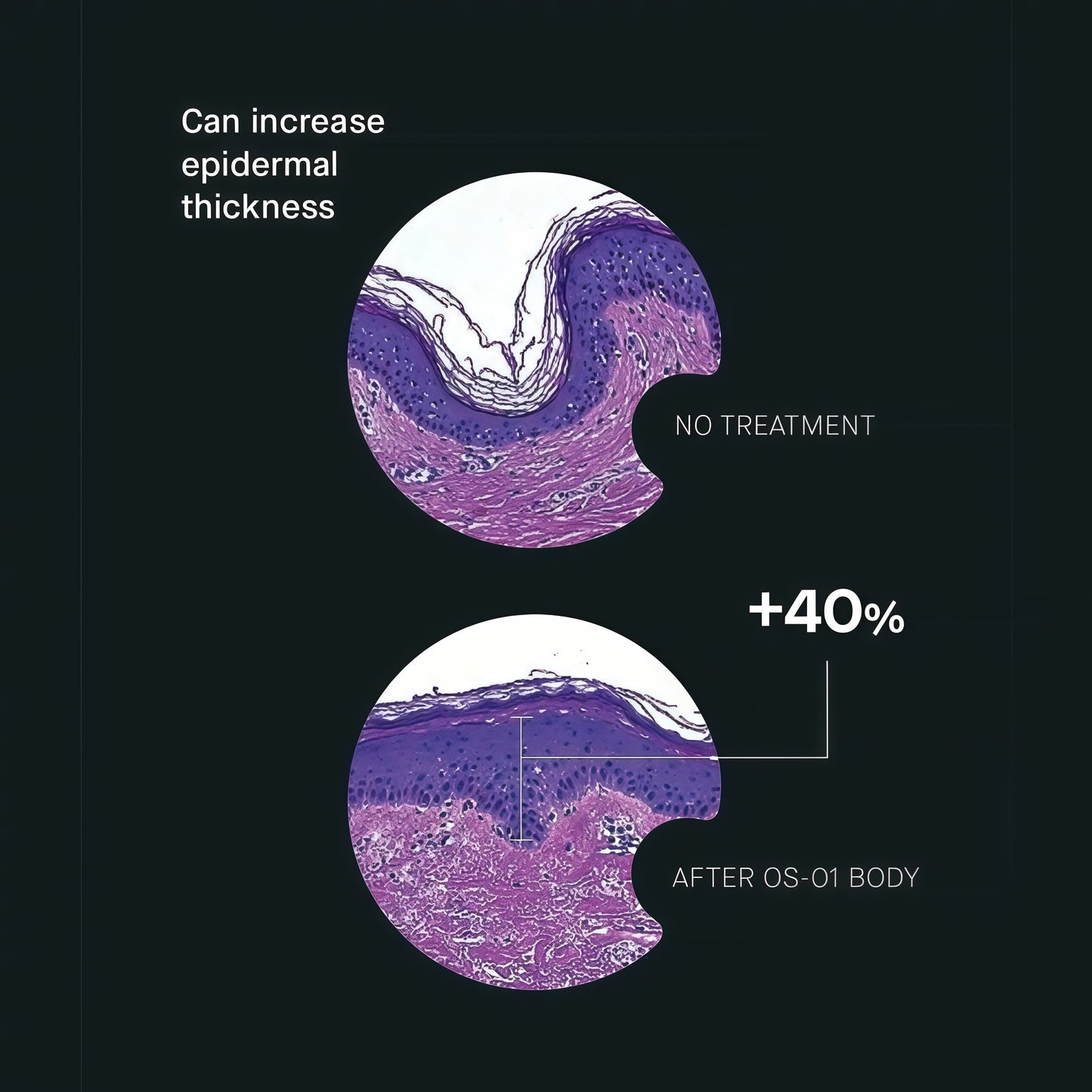 OneSkin BODY OS-01 Peptide Topical Supplement & Skin Longevity Age Reversal Moisturizer | Safe for Sensitive Skin, Fragrance-Free